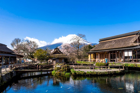 Da Tokyo: Crociera ad Hakone ed escursione di un giorno alla quinta stazione del Monte Fuji