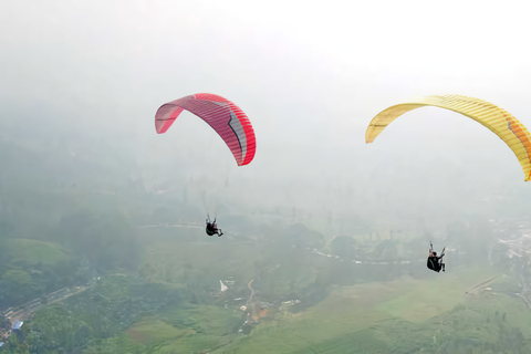 Passeio em Jacarta : Parapente no topo da montanha e plantação de chá