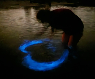 Orlando: Passeio de caiaque pela bioluminescência após o anoitecer