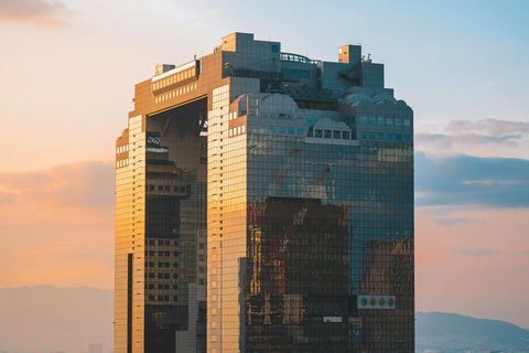 Osaka Sightseeing ,Hidden Gems with Luxury Vehicle &English