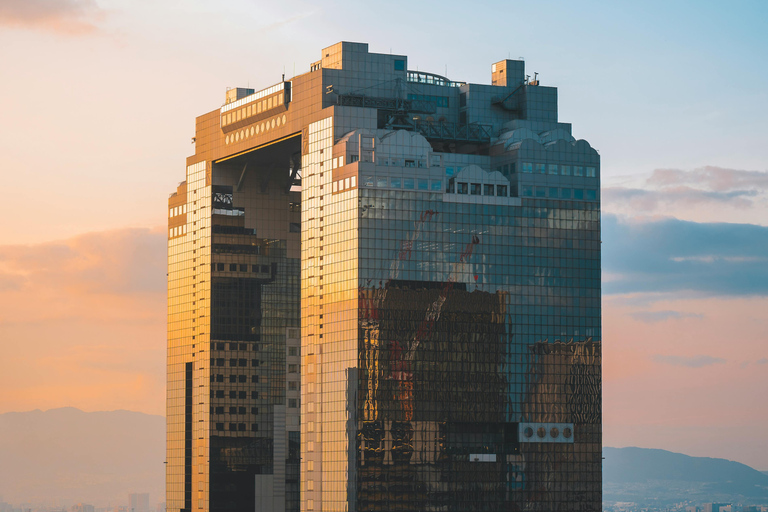 Osaka Sightseeing ,Hidden Gems with Luxury Vehicle &English