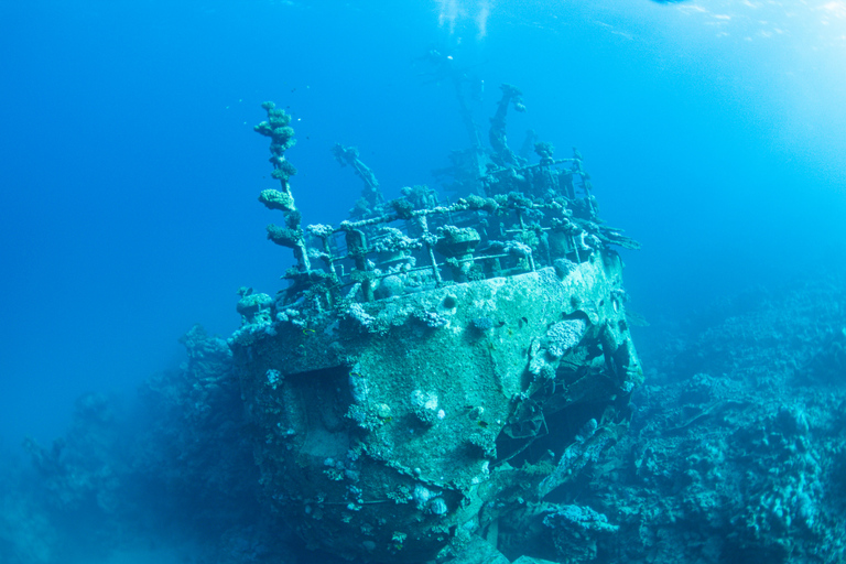 Coron: Apo Reef and Busuanga Freediving Expedition Tour