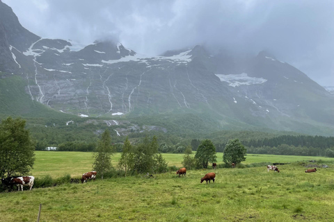 Passeio de bicicleta elétrica de Hellesylt a Norangsdalen