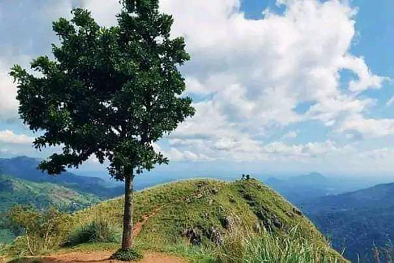 Kalupahana 6 Pontos: Cachoeiras de Ella, caminhadas, piscinas naturais