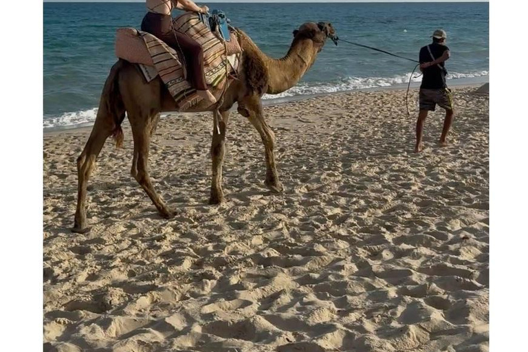 Sousse: Guided Countryside & Olive Grove Camel Ride Countryside Camel Ride with Sousse Hotel Transfer