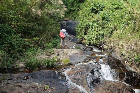 Vang Vieng: Full-Day Jungle Trek, Cave & Waterfall Tour