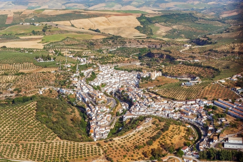 Costa del Sol et Malaga : Ronda et Setenil de las BodegasPrise en charge dans le centre-ville de Malaga