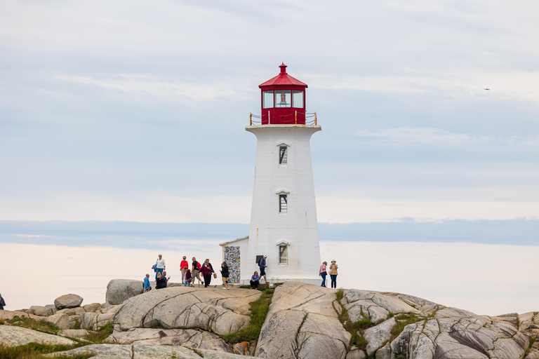 Tour esclusivo in auto per piccoli gruppi a Halifax con Peggy's Cove