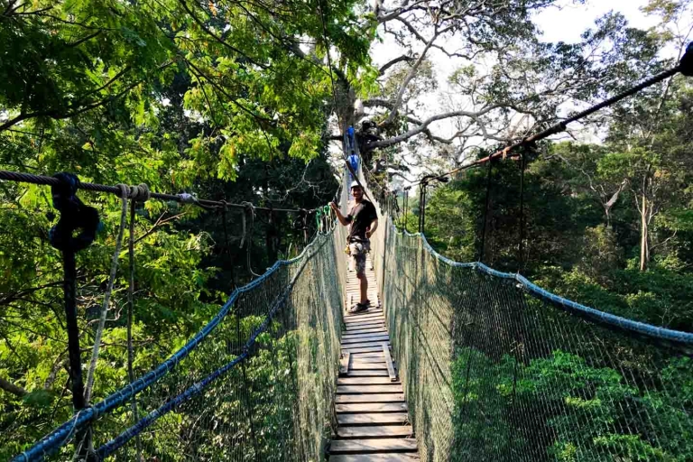 Madre de Dios: Saldoval-See + Besuch bei den ArasPeruanischer Dschungel: Wilde 4 Tage