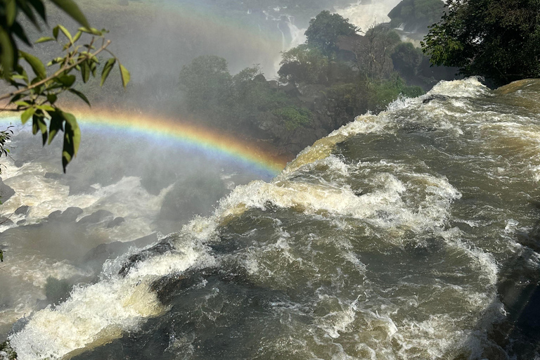 vanuit Foz do Iguaçu: Privétour over de watervallen van Iguaçuvanuit Foz do Iguaçu: Privétour op de watervallen van Iguaçu