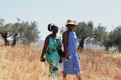 Heraklion: Olive Farm Tour with Tasting of Local Delicacies