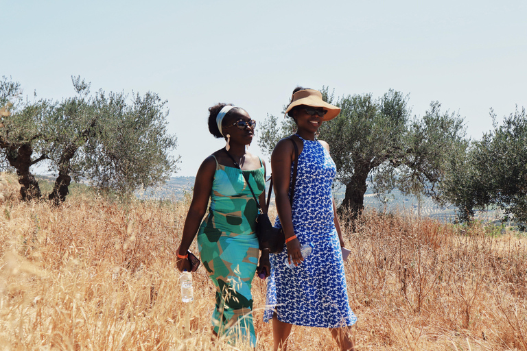 Heraklion: Olive Farm Tour with Tasting of Local Delicacies