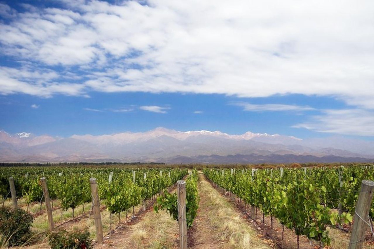 4-Days Essential Mendoza - City, Mountains &amp; Wine!