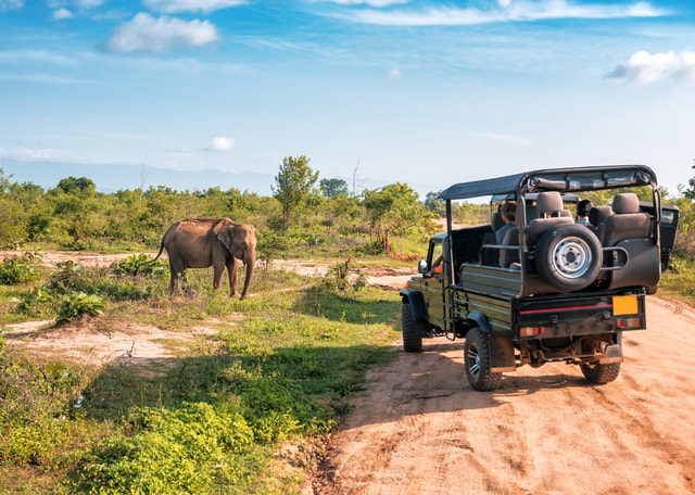 Sri Lanka Green Bless- 2-day Private Trip To Enjoy Nature