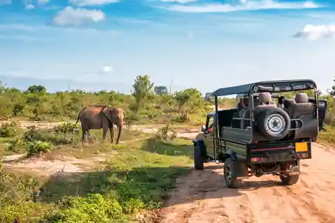 Sri Lanka Green Bless- 2-day Private Trip To Enjoy Nature