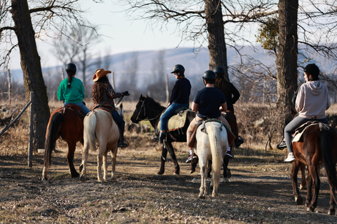 2-hour horse riding tour at Palomino Ranch