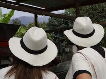 Einen Tag als Farmer auf einer Kaffeefarm bei Bogotá