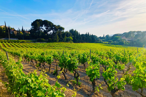 Nice City, Villefranche sur Mer and Wine Tasting