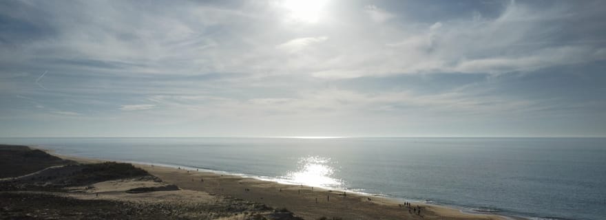 La Tremblade : Randonnée dans la Forêt Domaniale de la Coubre