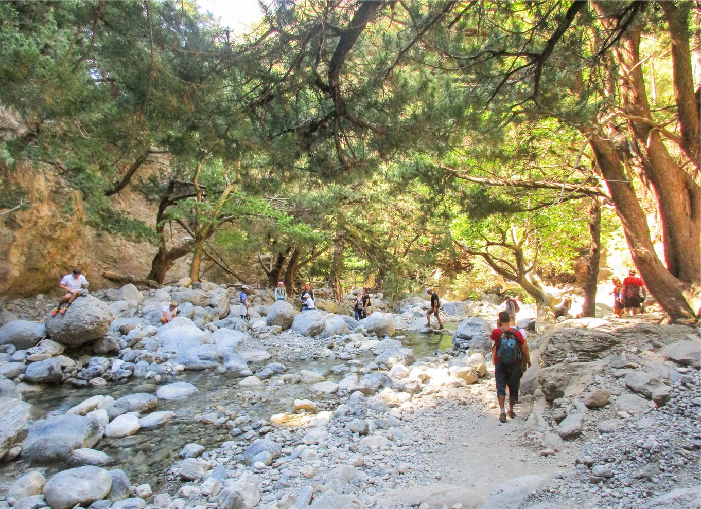 Fra Chania: Heldagsudflugt i Samaria-kløften med guide