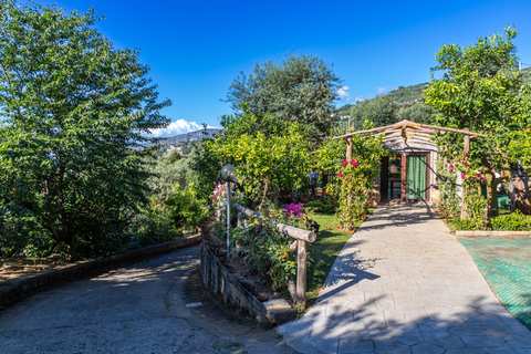 SORRENTO: Sunset Limoncello Making After-Dinner Experience