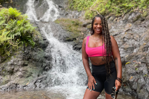 Waikiki Excursión por la playa y las cascadas ocultas de Hawaii