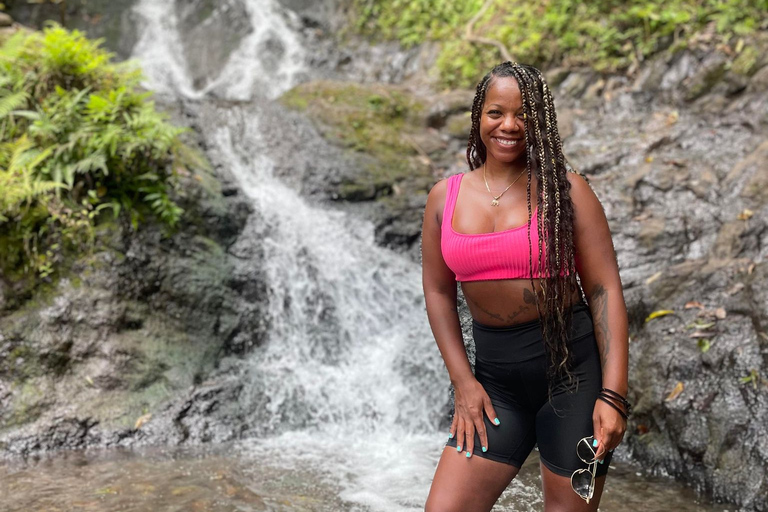 Waikiki Excursión por la playa y las cascadas ocultas de Hawaii