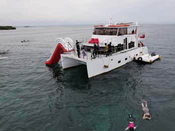 Mactan: Fughe dall'isola locale
