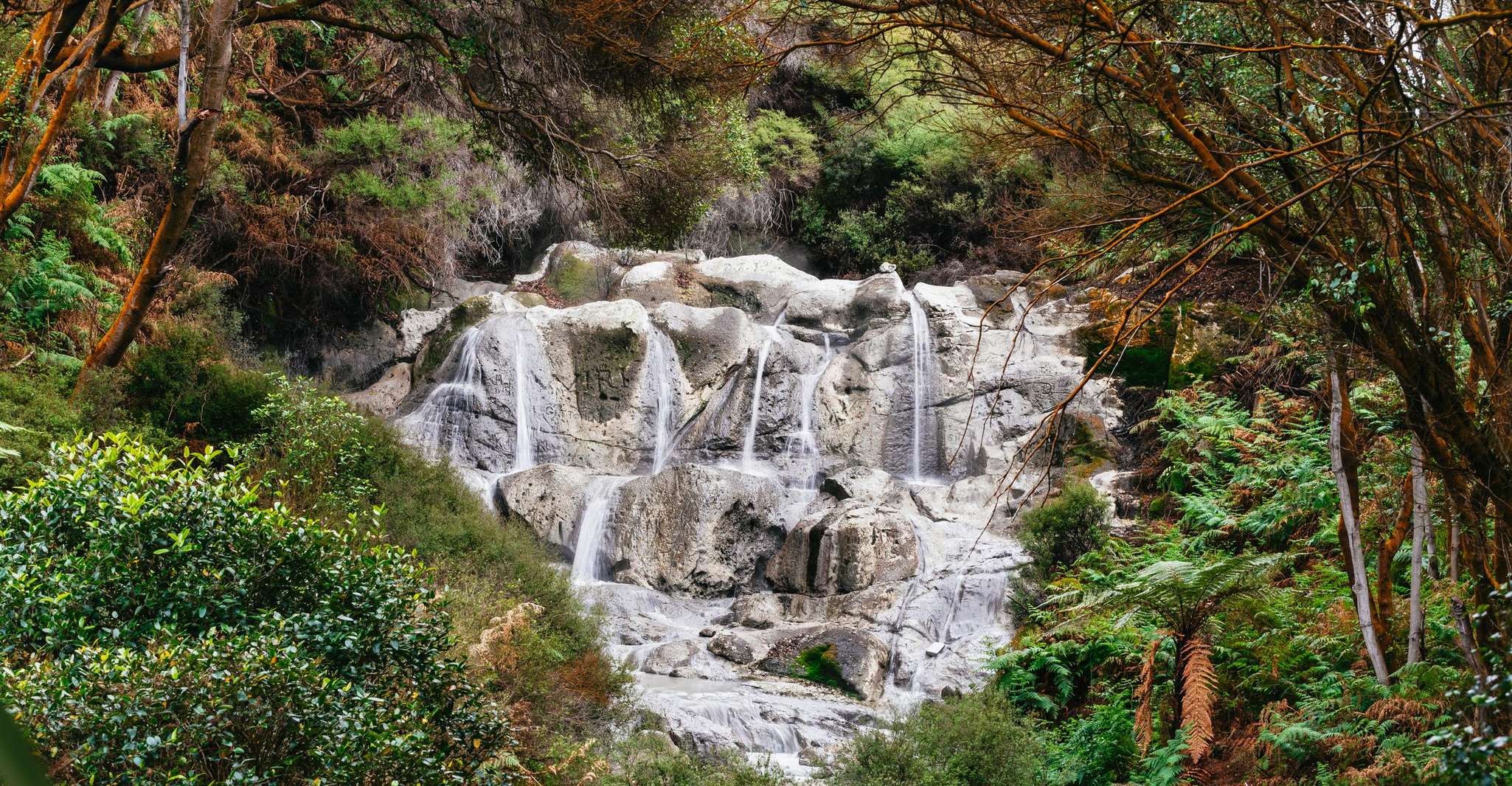 Hells Gate Mud Bath and Sulphur Spa Experience - Housity