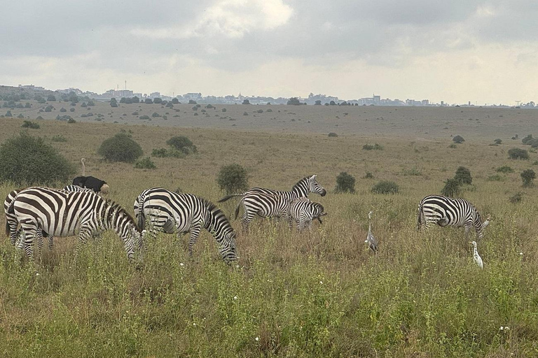 From Nairobi: National Park & Maasai Mara Safari Guided Tour