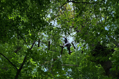 Kelkheim: Outdoor climbing experience in the forest ropes course with circuit and zip lines