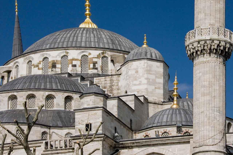 Tour della Basilica di Santa Sofia e della Moschea Blu + Basilica Cisterna opzionaleHagia Sophia, Moschea Blu + Cisterna Basilica e tutti i biglietti