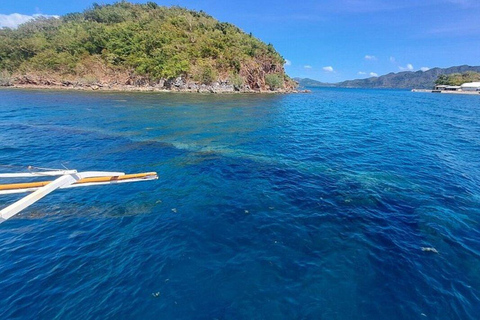 Isola di Coron: tour della barriera corallina e dei relitti (JOINERS)