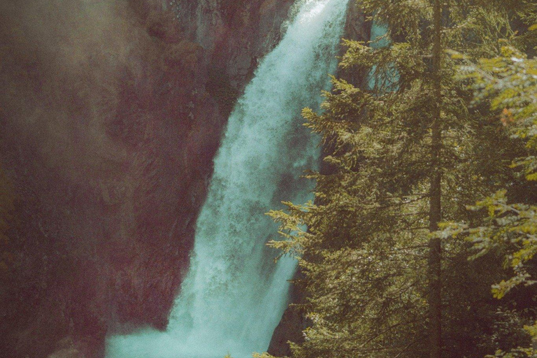 Interlaken: Rosenlaui Hike with Gorge & Alpine Hut Visit