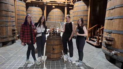 From Catania: Etna Trekking & Wine Tasting Tour with Pick-up
