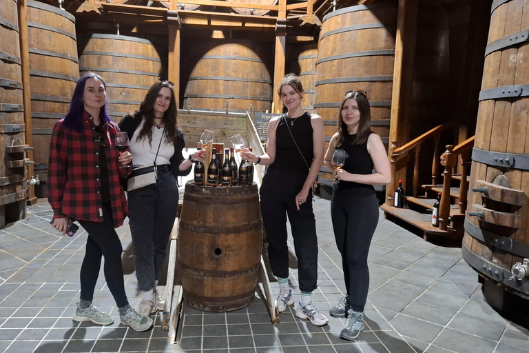 From Catania: Etna Trekking & Wine Tasting Tour with Pickup