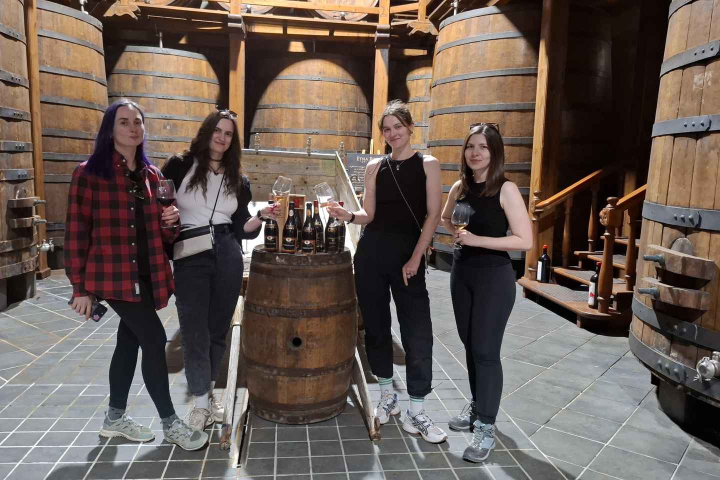 Etna gönguferð & vínferð með akstri frá Catania