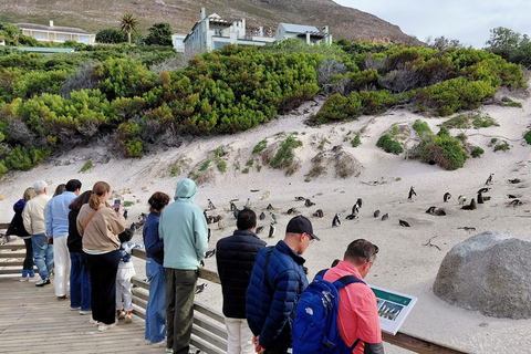 Cape Town: 2-Day Private Tour with Penguins, Safari & Wines