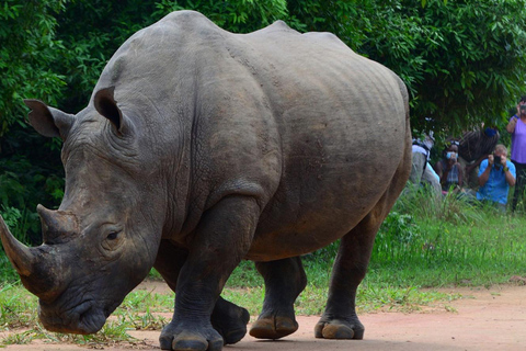 恩德培/坎帕拉：3日莫西森瀑布之旅与犀牛追踪