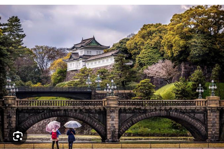 Tokyo One Day Customizable Trip With English speaking Driver