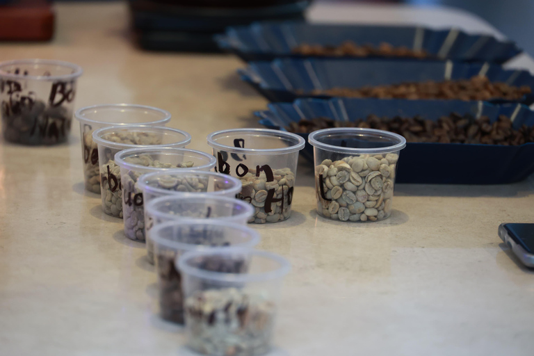 Guatemala City: Volcano-Grown Coffee Tasting Experience