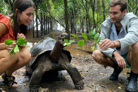 Zanzibar: Fängelseön och Nakupenda Sandbank Tour med lunchZanzibar: Fängelseön och Nakupenda Sandbank-tur med lunch