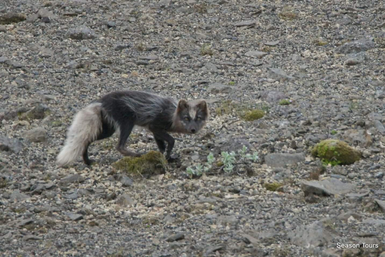 Day tour from, Reykjavik, KEF, Hveragerði, Selfoss or Hella