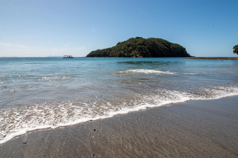 Isla de las Cabras: Tour en barco con fondo de cristal