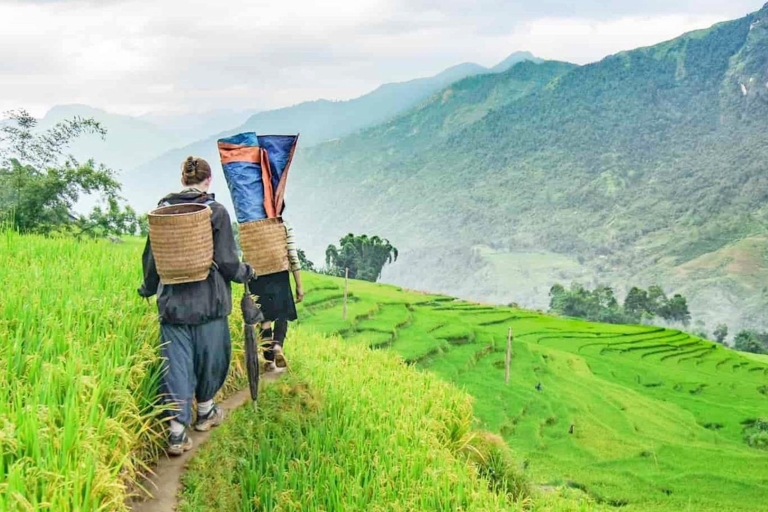 From Hanoi: Two Day Sapa Tour Trekking and Ethnic Villages