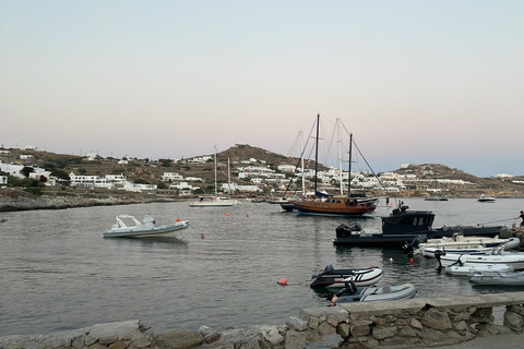 Visite d'une demi-journée sur l'île