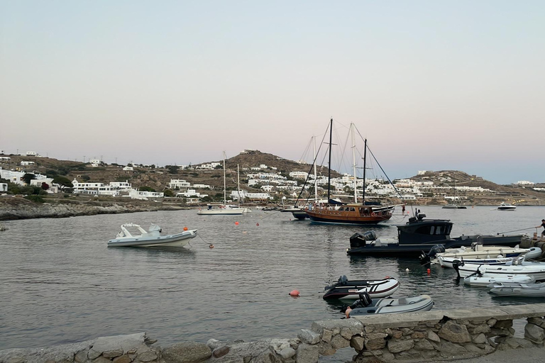 Visite d'une demi-journée sur l'île