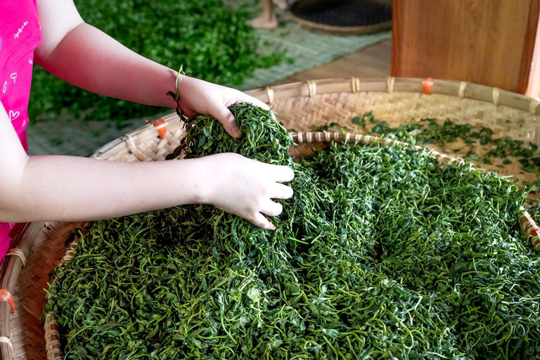 Hangzhou Day Tour: Lingyin Temple + Tea Culture Experience