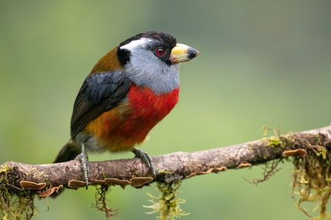 Vogelbeobachtung und Naturwanderung Tour bei KM18