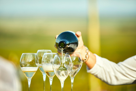 Cramant: OP2 Masterclass 5 Champagner